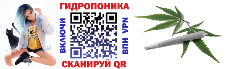 ГАШ Кимовск