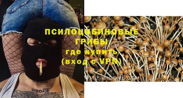 гидропоника Каменка