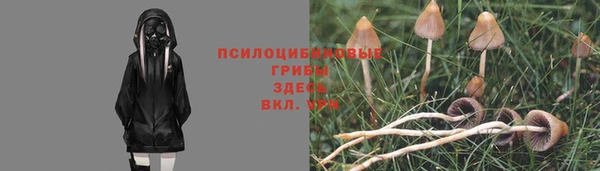ECSTASY Каменногорск