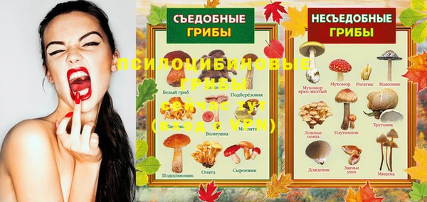 гидропоника Каменка