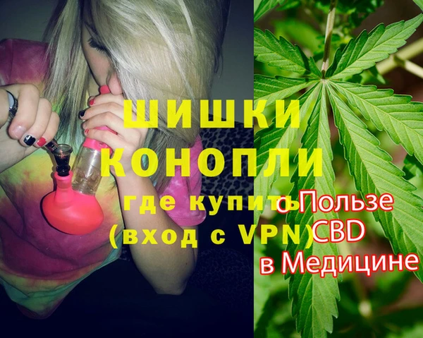 гидропоника Каменка