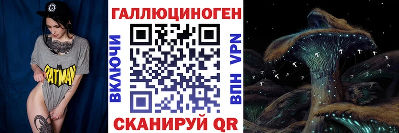 Галлюциногенные грибы Psilocybine cubensis  цена   Кимовск 