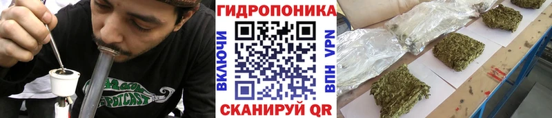 наркошоп  kraken ССЫЛКА  Каннабис ГИДРОПОН  Кимовск 